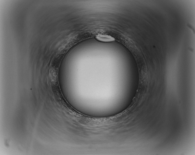 X0000102470037200808081300