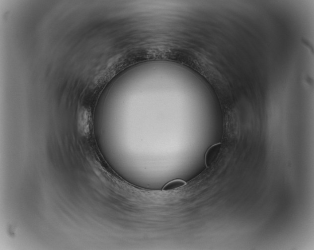 X0000102470038200808081300