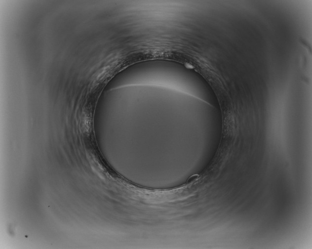X0000102470039200808081300