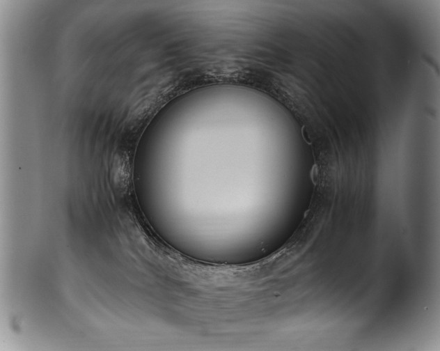 X0000102470040200808081300