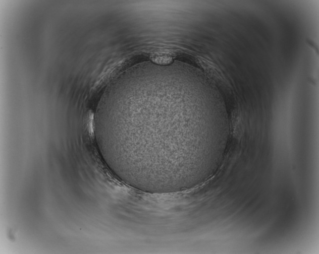 X0000102470041200808081300