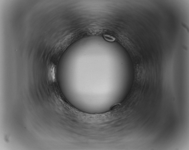 X0000102470042200808081300
