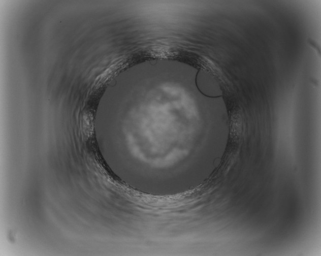 X0000102470043200808081300