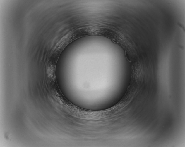 X0000102470044200808081300