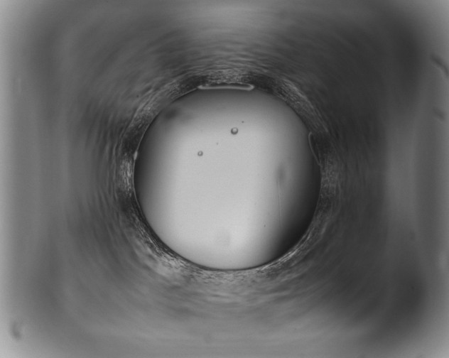 X0000102470045200808081300