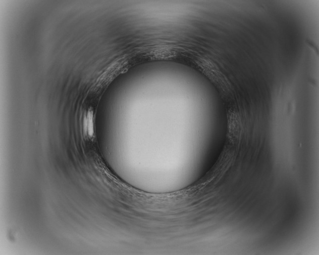 X0000102470046200808081300
