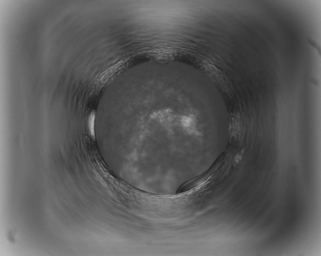 X0000102470047200808081300