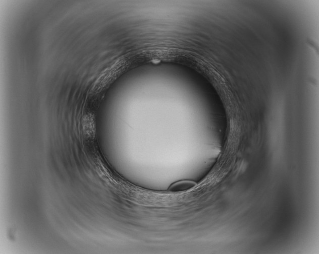 X0000102470048200808081300