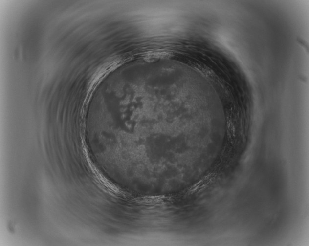 X0000102470049200808081300