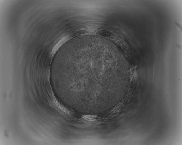 X0000102470051200808081300