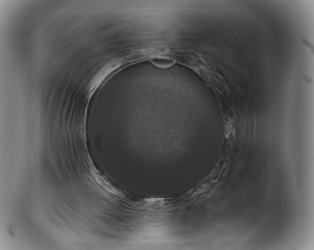 X0000102470052200808081300