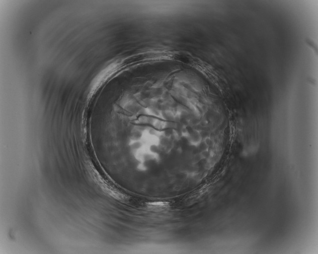 X0000102470053200808081300