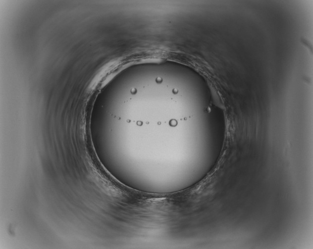 X0000102470054200808081300