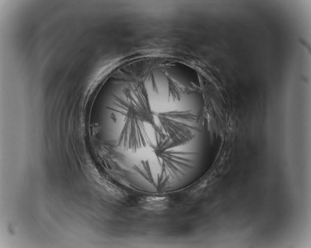 X0000102470055200808081300