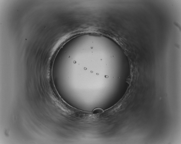 X0000102470056200808081300