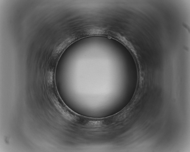 X0000102470057200808081300