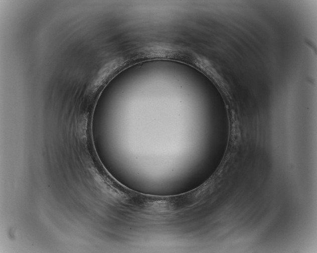 X0000102470058200808081300