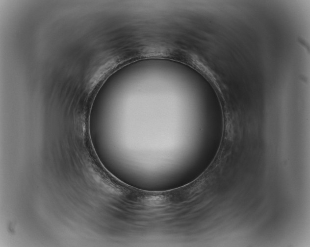 X0000102470059200808081300