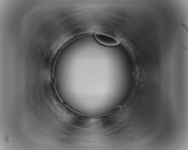 X0000102470060200808081300