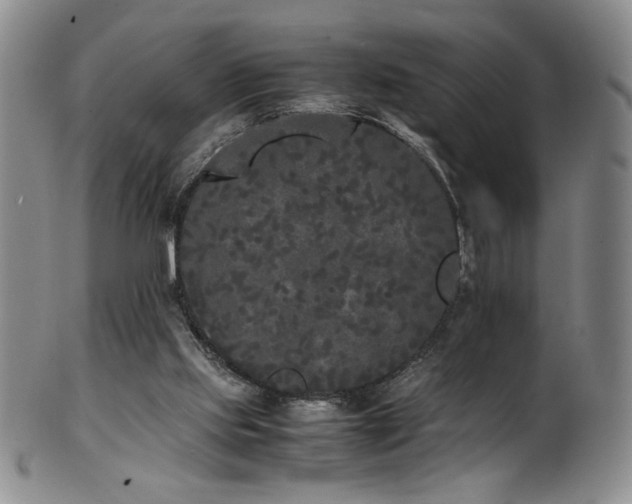 X0000102470061200808081300