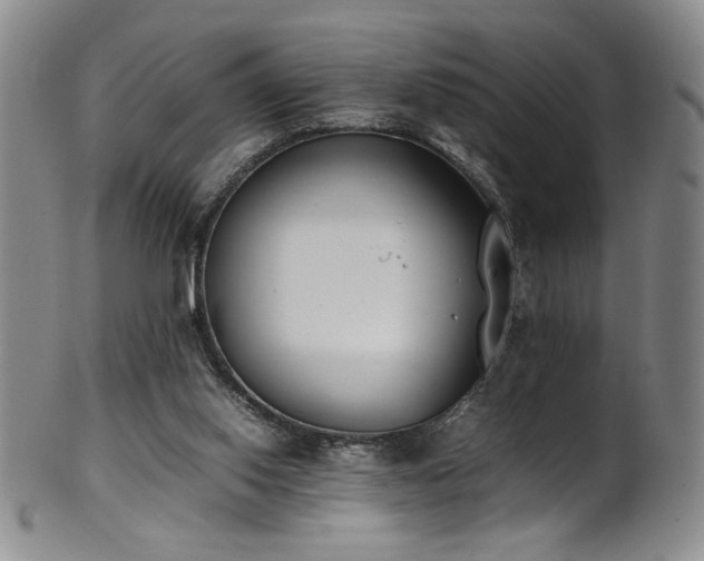 X0000102470062200808081300