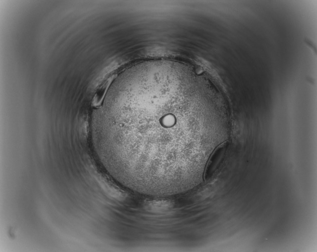 X0000102470063200808081300