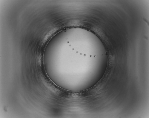 X0000102470064200808081300