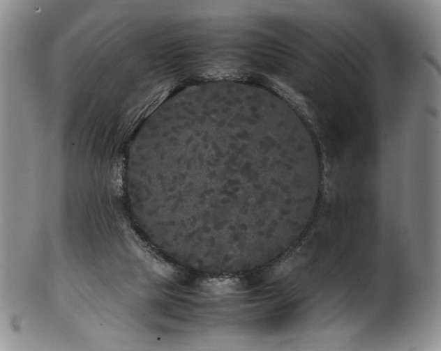 X0000102470065200808081300