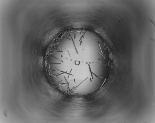 X0000102470066200808081300