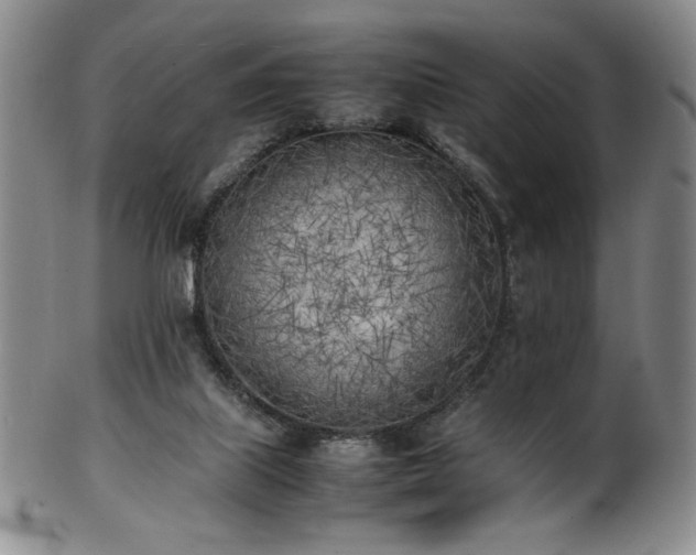 X0000102470067200808081300