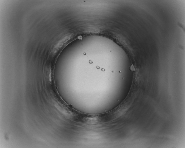X0000102470068200808081300