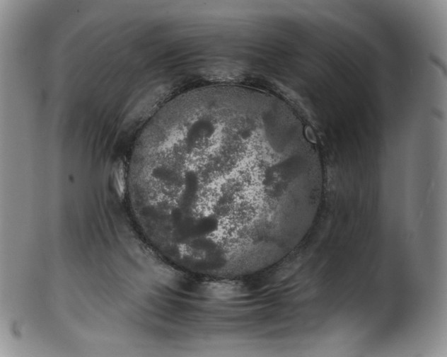 X0000102470069200808081300