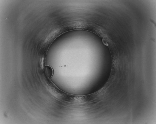 X0000102470070200808081300