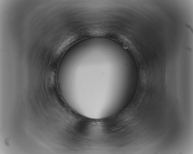 X0000102470071200808081300