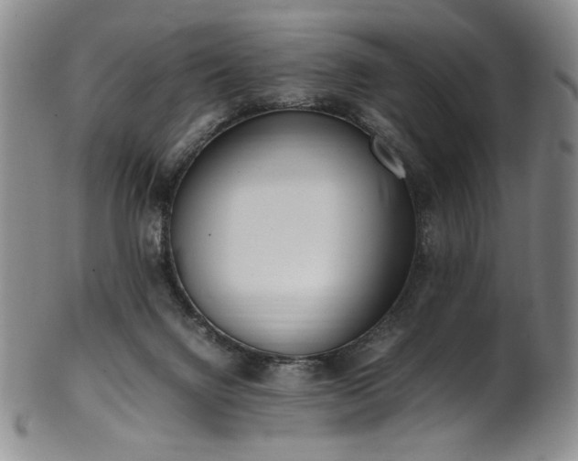 X0000102470072200808081300