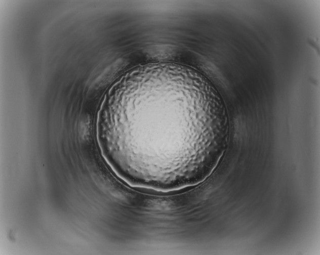 X0000102470073200808081300