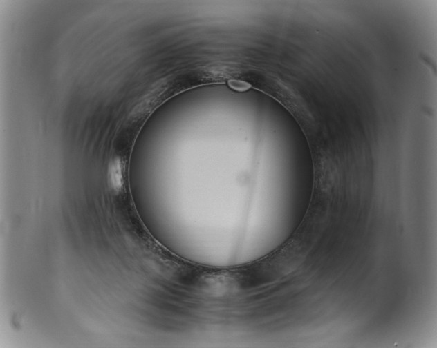 X0000102470075200808081300
