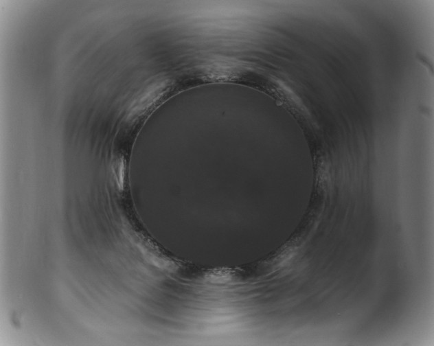 X0000102470076200808081300