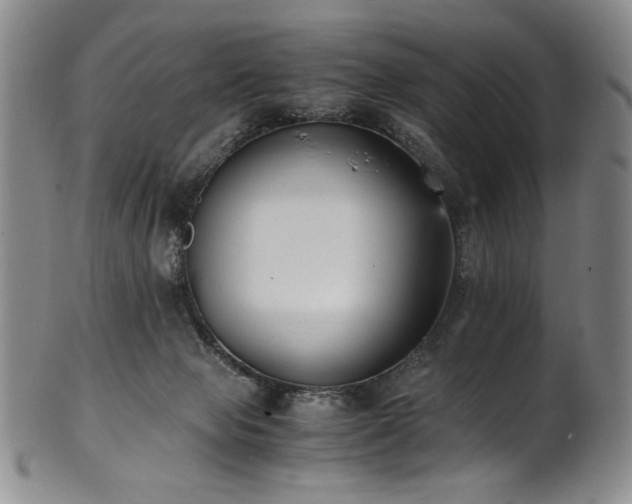 X0000102470077200808081300