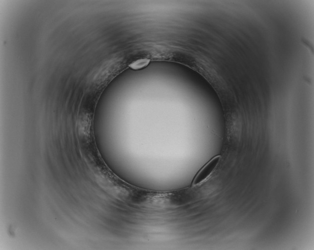 X0000102470078200808081300