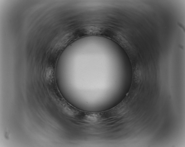 X0000102470079200808081300
