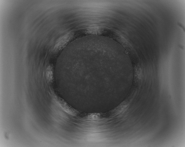 X0000102470080200808081300