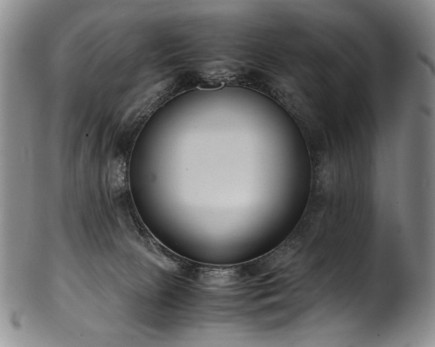 X0000102470081200808081300