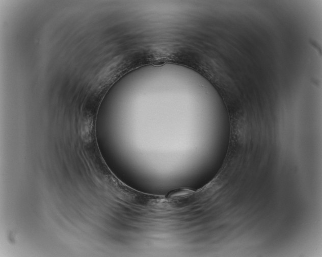 X0000102470082200808081300