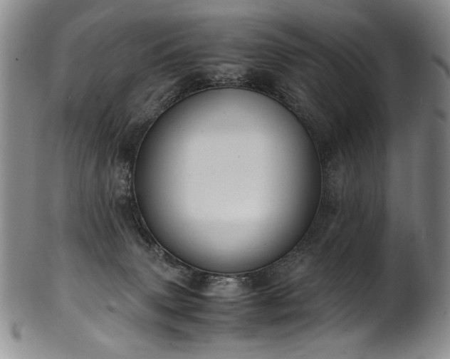 X0000102470083200808081300