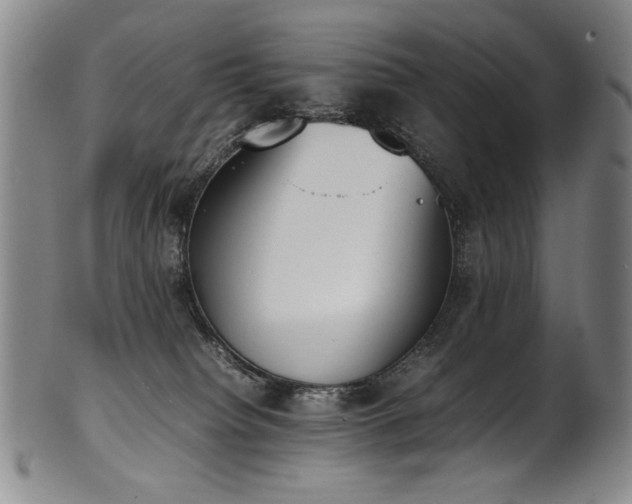 X0000102470084200808081300