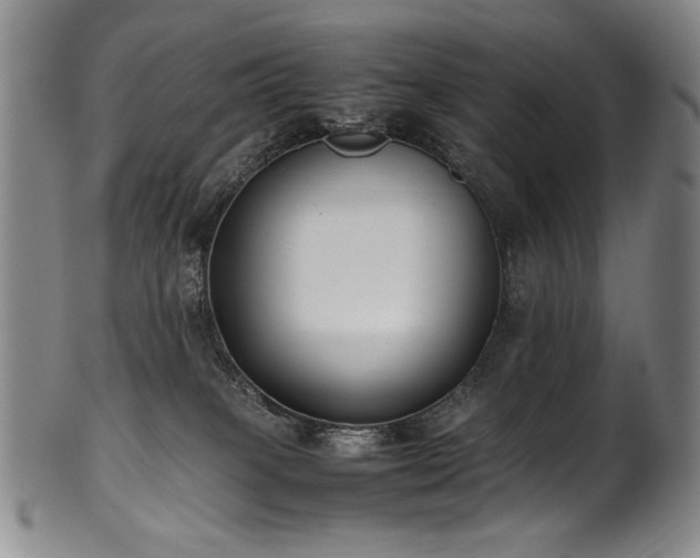 X0000102470085200808081300
