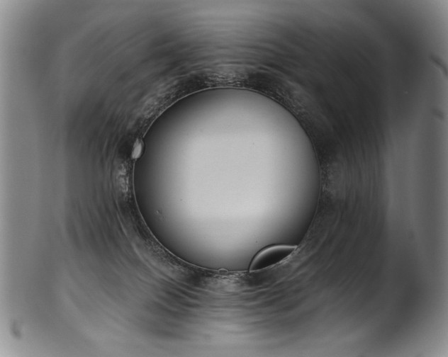 X0000102470086200808081300