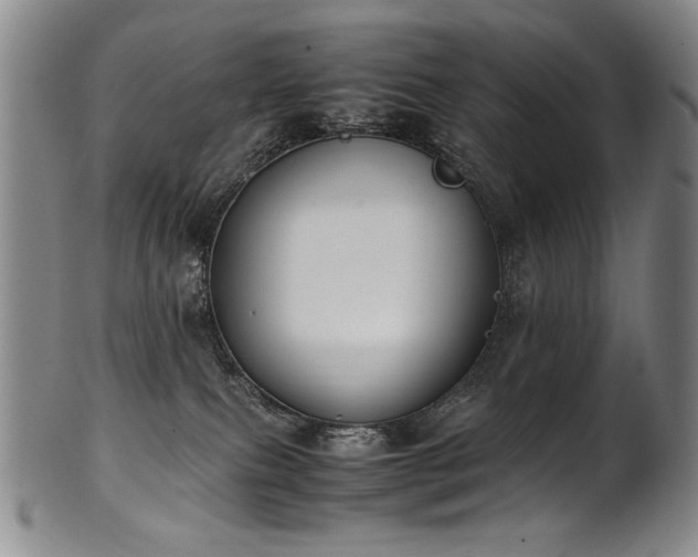 X0000102470087200808081300