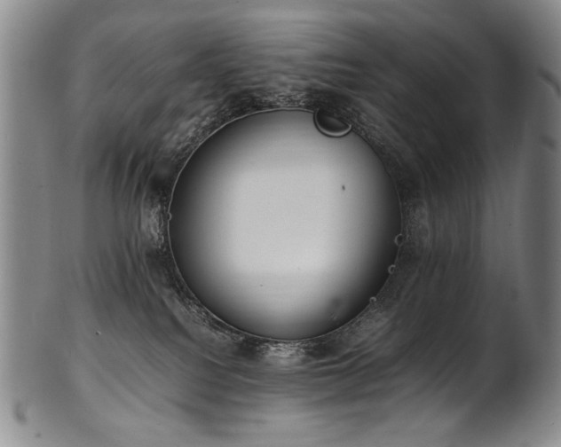X0000102470088200808081300